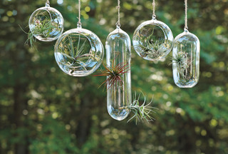 nashville reptile room guide light bulbs