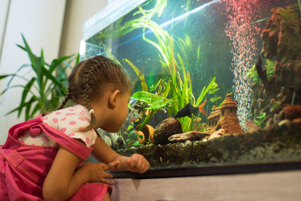 nashville fresh water aquarium guide